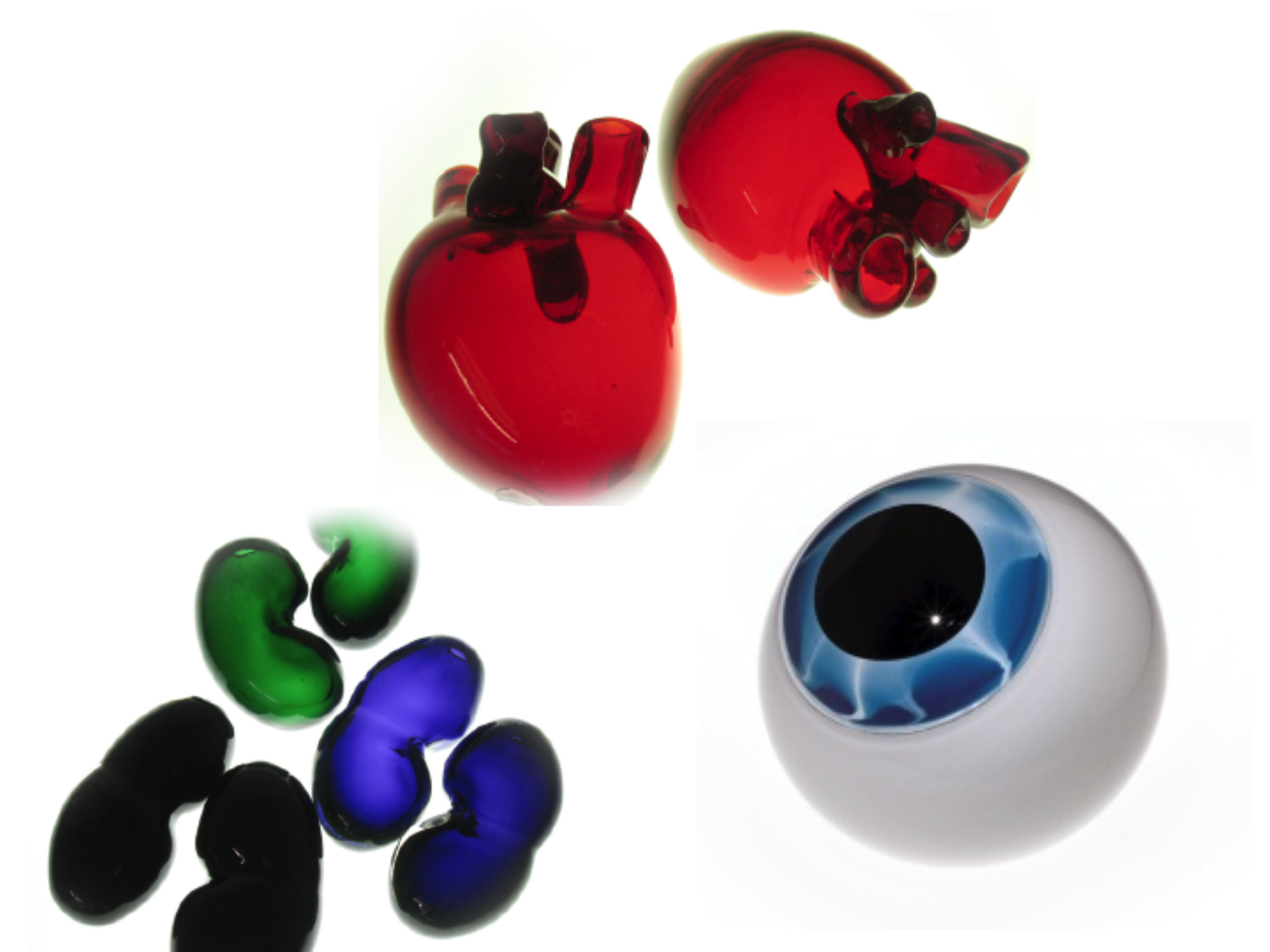 glass organs